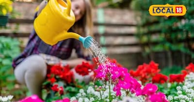 गार्डनिंग के लिये यह दो काम जरूरी, नही सुखेगा पौधा देगा बेहतर फलन