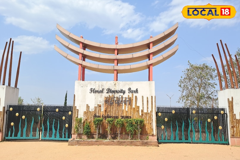 गया न्यूज गया न्यूज