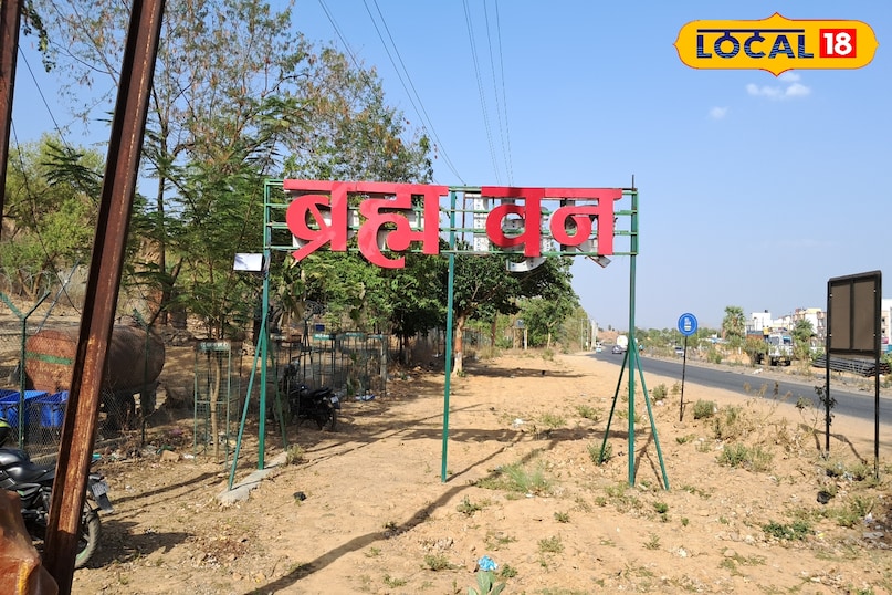 गया न्यूज गया न्यूज