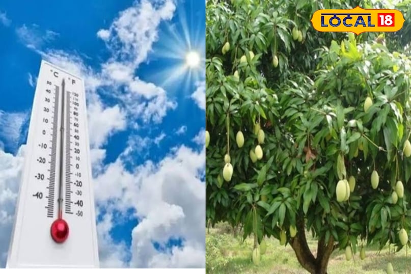 लोकल 18 लोकल 18