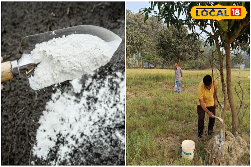 लोकल 18 लोकल 18