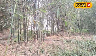 एक बार की लगाएंगे तों ज़िन्दगी के सालों तक पैसा ही पैसा! इस खेती से मालामाल बना