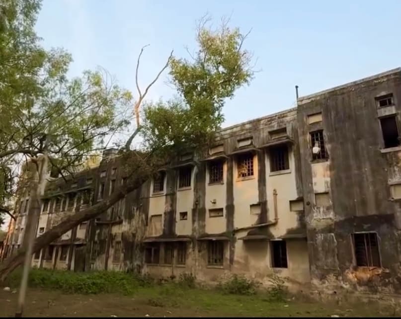 डॉ. राजेंद्र प्रसाद, नेताजी और डालमिया का उद्यमिता