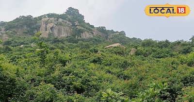 नए साल में है पिकनिक मनाने की तैयारी!