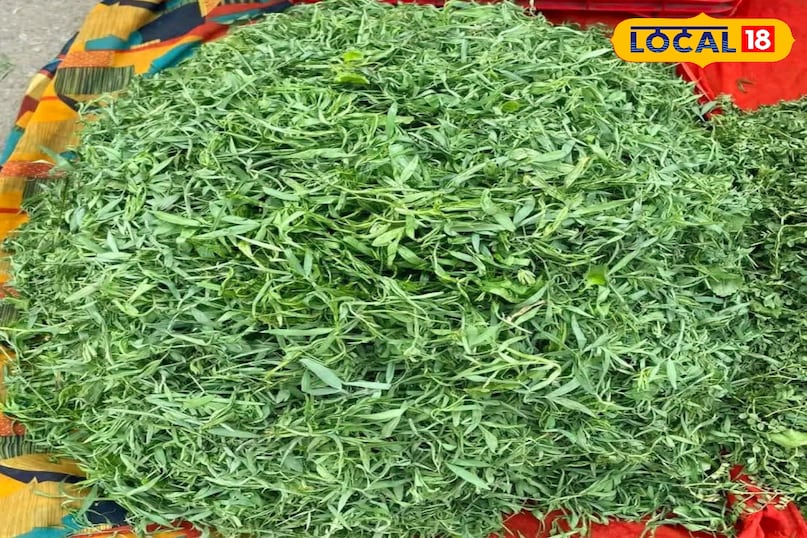 घरेलू टिप्स घरेलू टिप्स