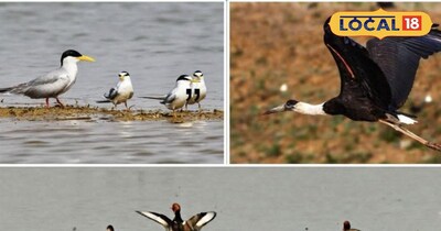 छत्तीसगढ़ का पहला रामसर साइट बना कोपरा जलाशय