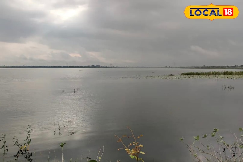 छत्तीसगढ़ का पहला रामसर साइट बना कोपरा जलाशय, बिलासपुर को मिली ऐतिहासिक पहचान, रायपुर से 115 किलोमीटर की दूरी पर स्थित छत्तीसगढ़ का पहला रामसर साइट बना कोपरा जलाशय, बिलासपुर को मिली ऐतिहासिक पहचान, रायपुर से 115 किलोमीटर की दूरी पर स्थित