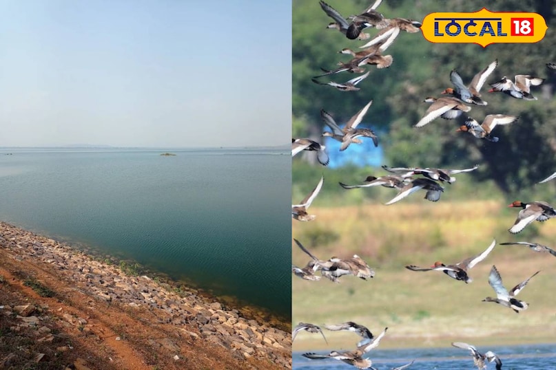 छत्तीसगढ़ का पहला रामसर साइट बना कोपरा जलाशय, बिलासपुर को मिली ऐतिहासिक पहचान, रायपुर से 115 किलोमीटर की दूरी पर स्थित छत्तीसगढ़ का पहला रामसर साइट बना कोपरा जलाशय, बिलासपुर को मिली ऐतिहासिक पहचान, रायपुर से 115 किलोमीटर की दूरी पर स्थित