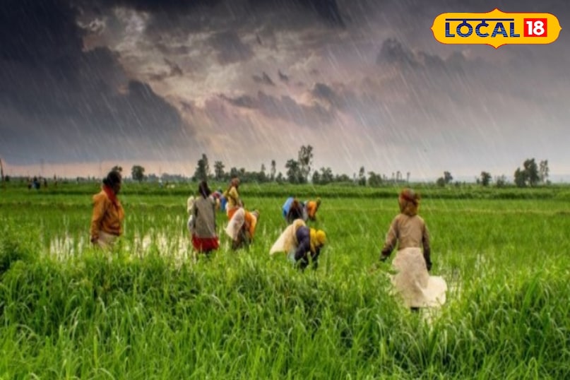 Government apps for farmers, Agriculture apps for farmers, Digital agriculture, local18, khargone letest news, Madhya Pradesh hindi news