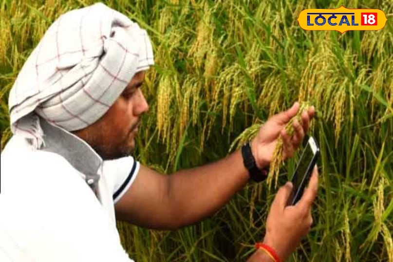 Government apps for farmers, Agriculture apps for farmers, Digital agriculture, local18, khargone letest news, Madhya Pradesh hindi news