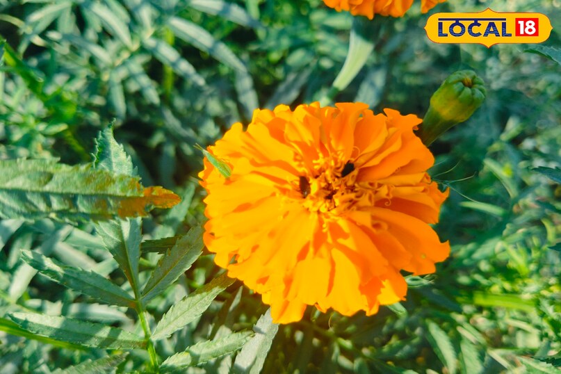 Tips and Tricks Tips and Tricks