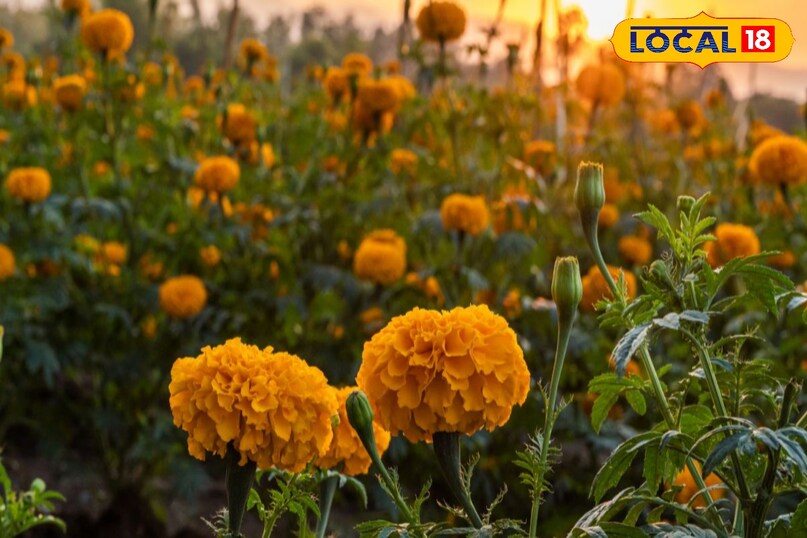 Tips and Tricks Tips and Tricks