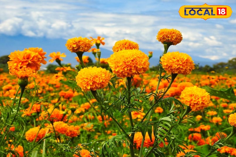 Tips and Tricks Tips and Tricks