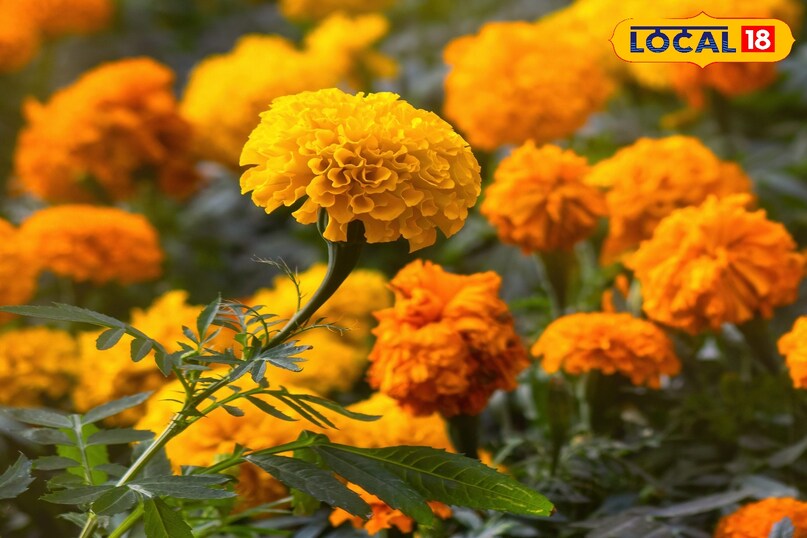 Tips and Tricks Tips and Tricks