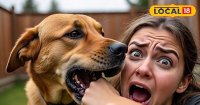 डॉग बाइट के मामले बढ़े 