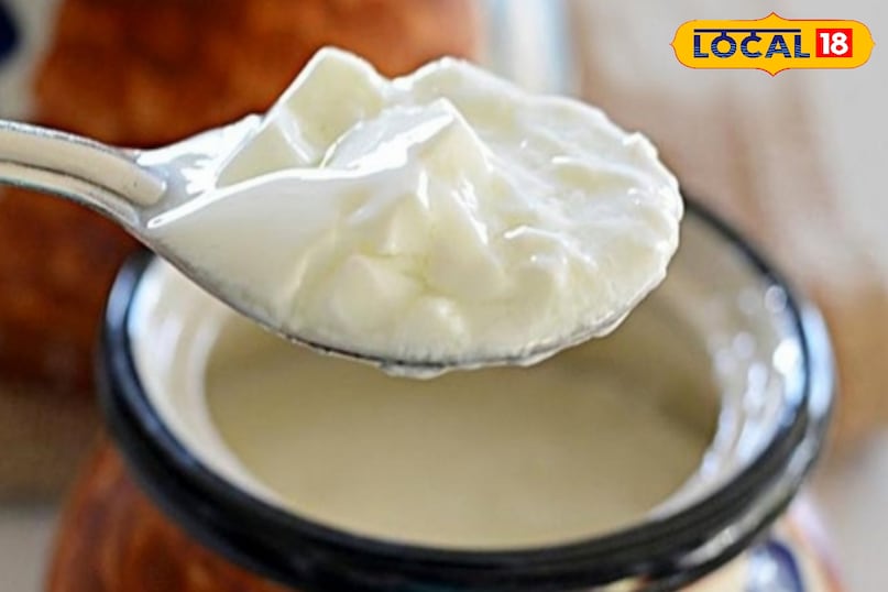 इम्युनिटी पॉवर इम्युनिटी पॉवर