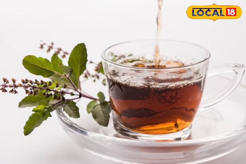 सतना सतना