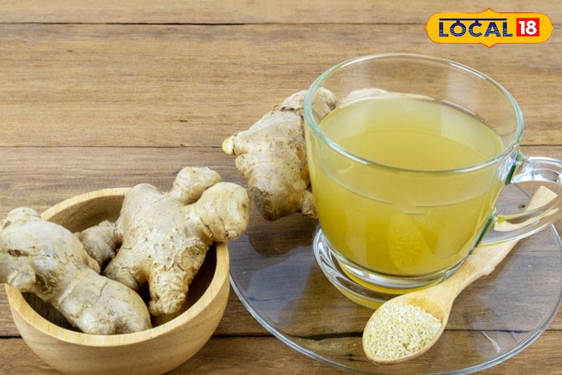 सतना सतना