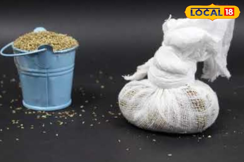 सतना सतना