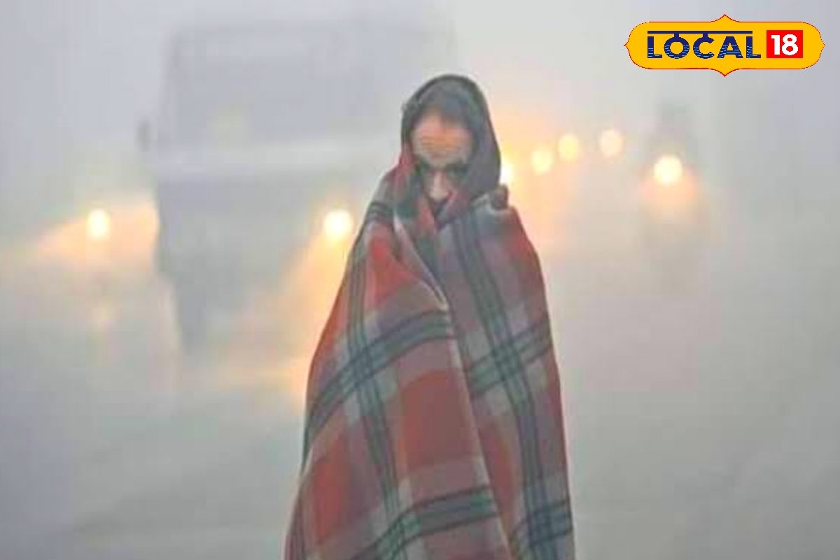 बिहार में ठंड से थोड़ी राहत, पर कोहरे ने बढ़ाई मुश्किलें, यातायात प्रभावित