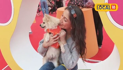 सेल्फी प्वाइंट भी यहां लगाए गए हैं