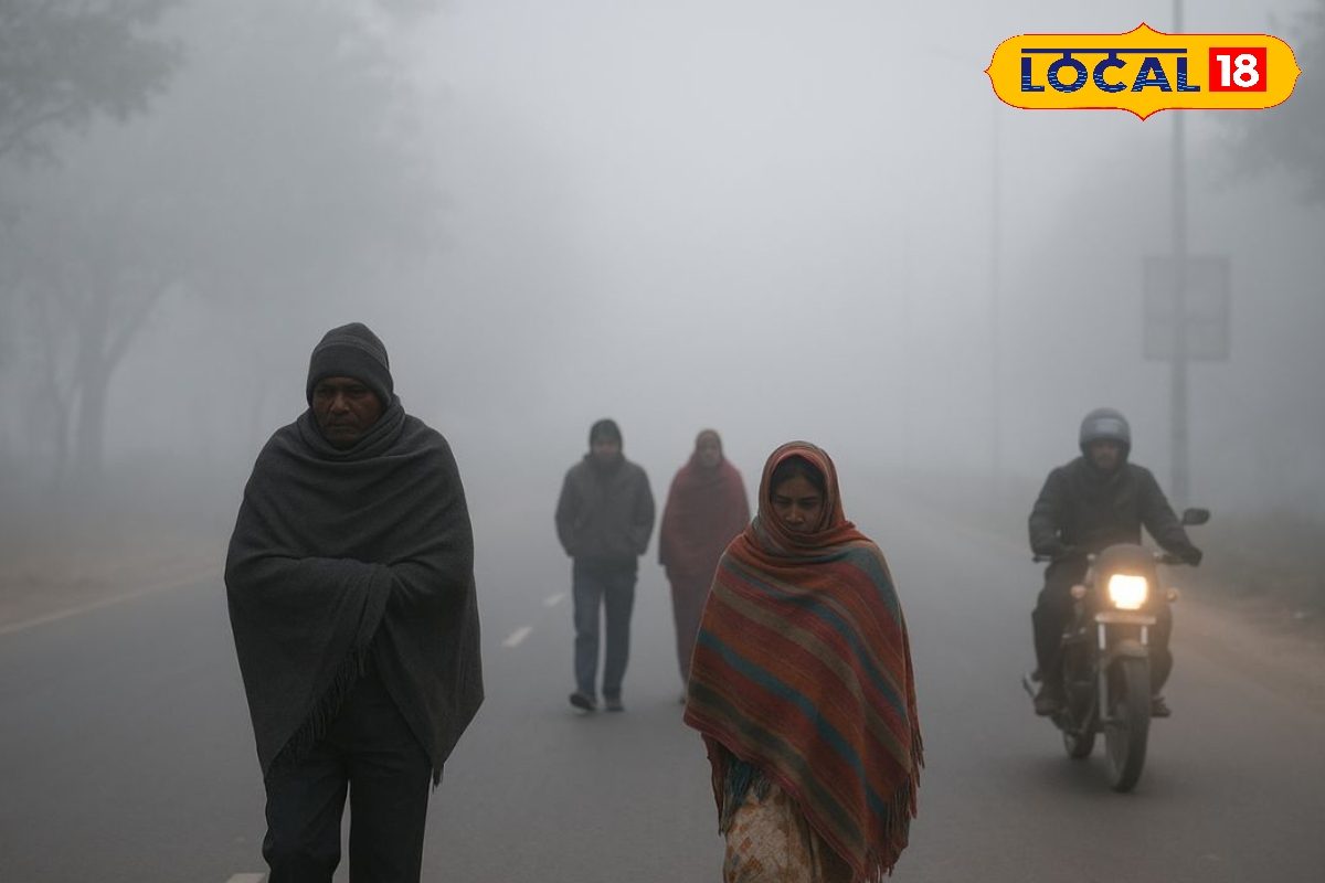 ठंड से ठिठुरेंगे उत्तर बिहार के ये ज़िले, सुबह शाम महसूस होगी जबरदस्त कनकनी, घने कोहरे से विजिबिलिटी होगी कम ! 