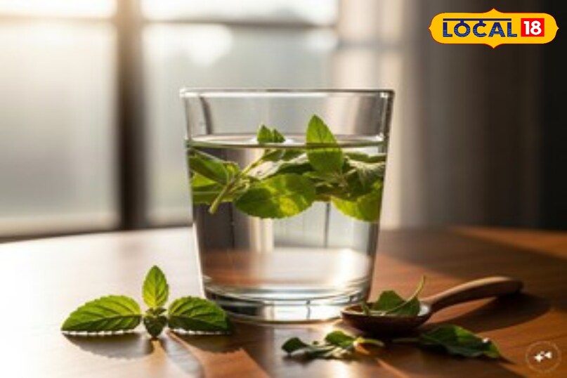 Moradabad news, hindi news, up news, local news, मुरादाबाद समाचार, हिंदी समाचार, लोकल समाचार, यूपी समाचार।