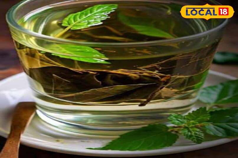 Moradabad news, hindi news, up news, local news, मुरादाबाद समाचार, हिंदी समाचार, लोकल समाचार, यूपी समाचार।