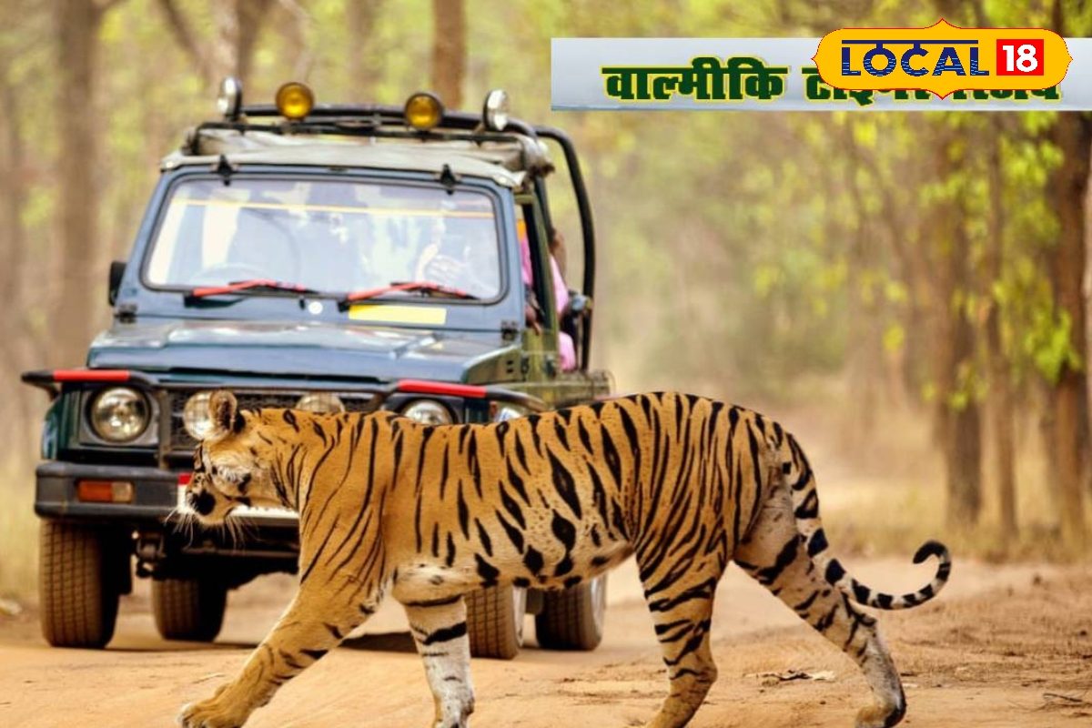 VTR में वन्यजीवों की निगरानी हुई हाईटेक! 5 रेंजों में पूरा हुआ बड़ा काम