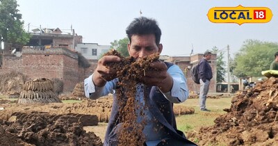 गोबर खाद