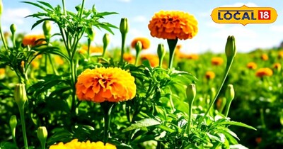 गेंदा और गुलाब फूल