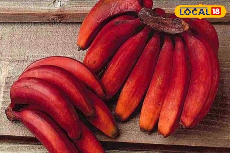 Effective in increasing weight and providing energy Effective in increasing weight and providing energy