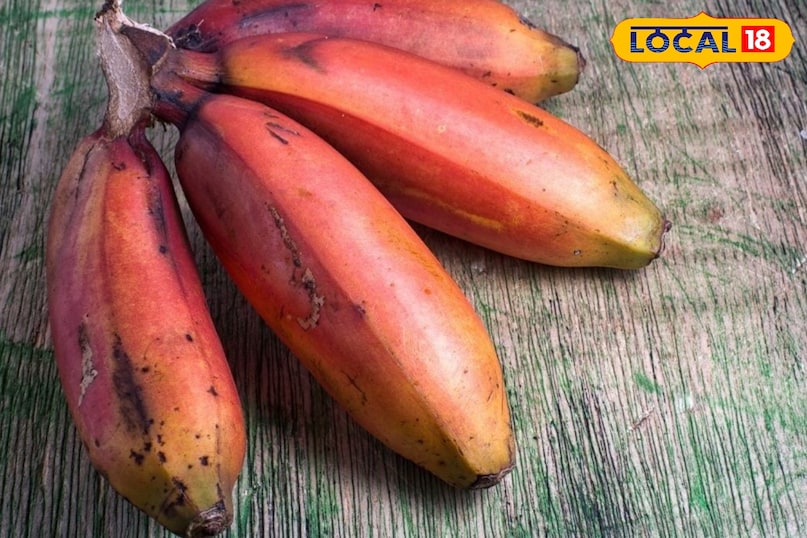 Keeps the digestive system healthy Keeps the digestive system healthy