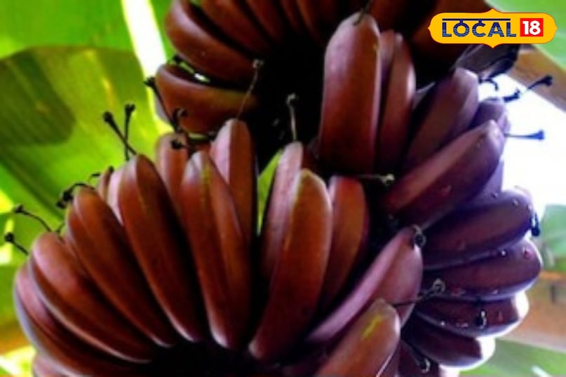 Beneficial for children and the elderly Beneficial for children and the elderly