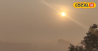 कोहरे से बढ़ाई चिंता 