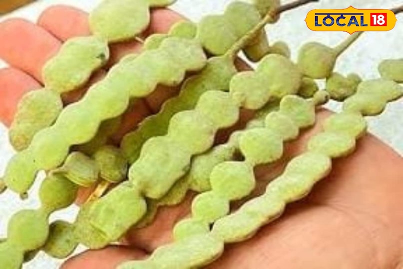 Moradabad news,hindi news,up news,local news, मुरादाबाद समाचार, हिंदी समाचार, यूपी समाचार, लोकल समाचार। Moradabad news,hindi news,up news,local news, मुरादाबाद समाचार, हिंदी समाचार, यूपी समाचार, लोकल समाचार।