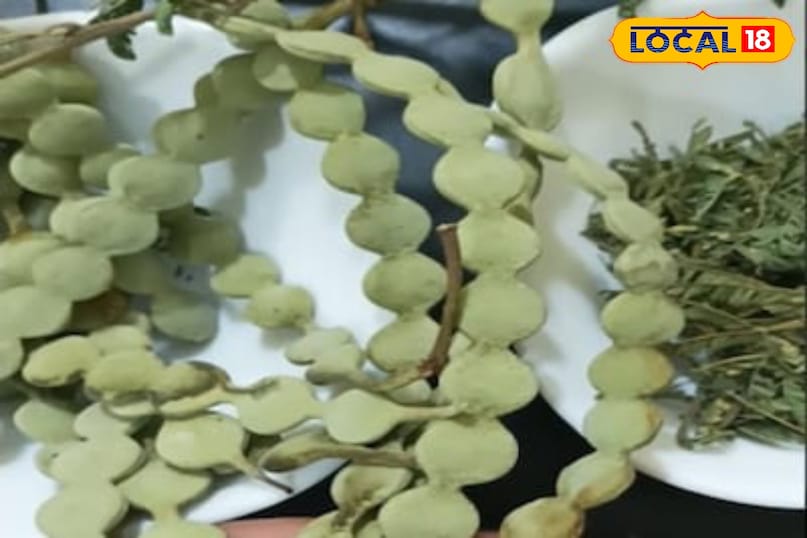 Moradabad news,hindi news,up news,local news, मुरादाबाद समाचार, हिंदी समाचार, यूपी समाचार, लोकल समाचार। Moradabad news,hindi news,up news,local news, मुरादाबाद समाचार, हिंदी समाचार, यूपी समाचार, लोकल समाचार।