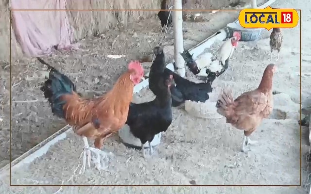 मुंबई में जॉब छोड़ गांव में शुरू किया ये बिजनेस, अब हो रही है लाखों की कमाई