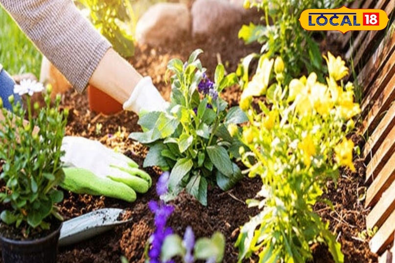 मिट्टी की तैयारी मिट्टी की तैयारी