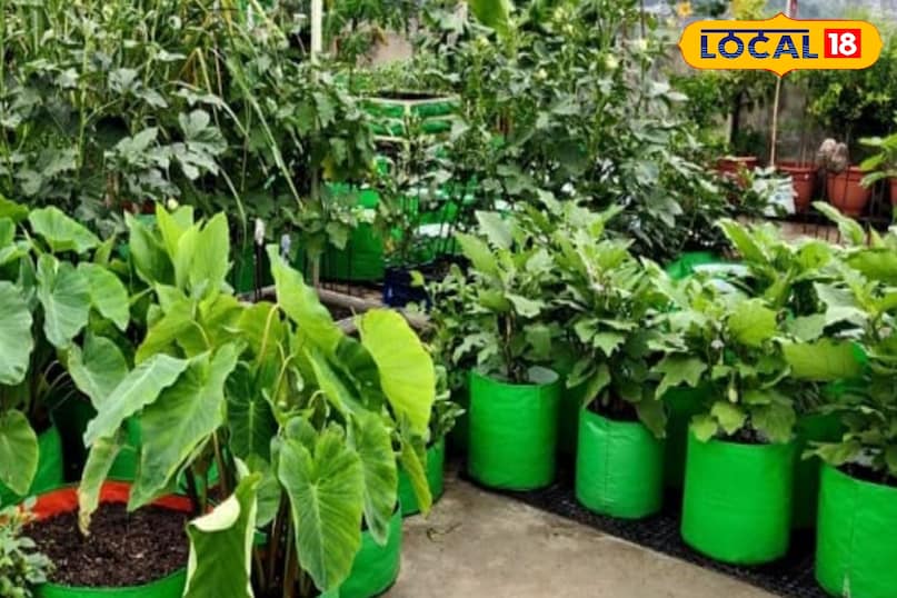 पानी और खाद पानी और खाद