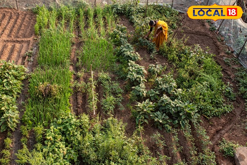 शुरुआती लोगों के लिए शुरुआती लोगों के लिए