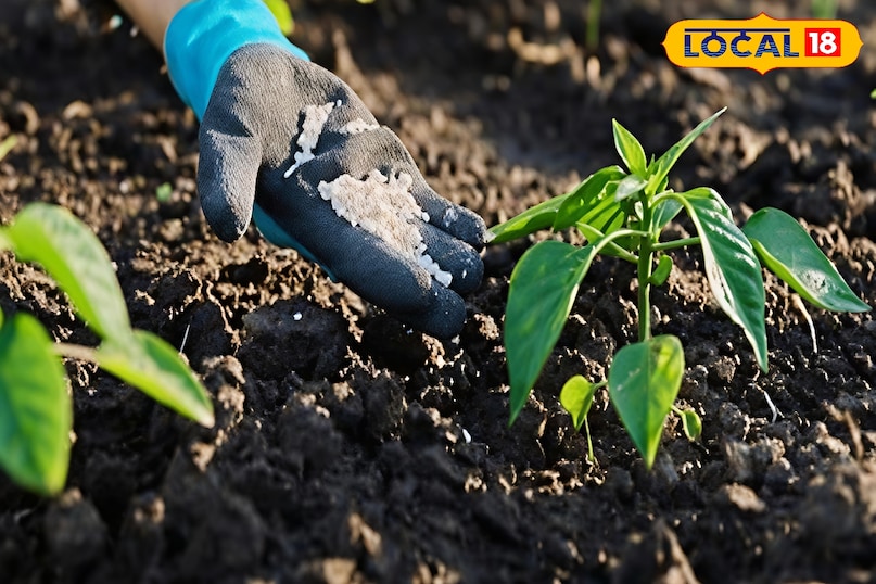 खास टिप्स खास टिप्स