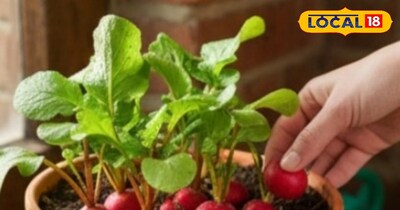 प्रतीकात्मक