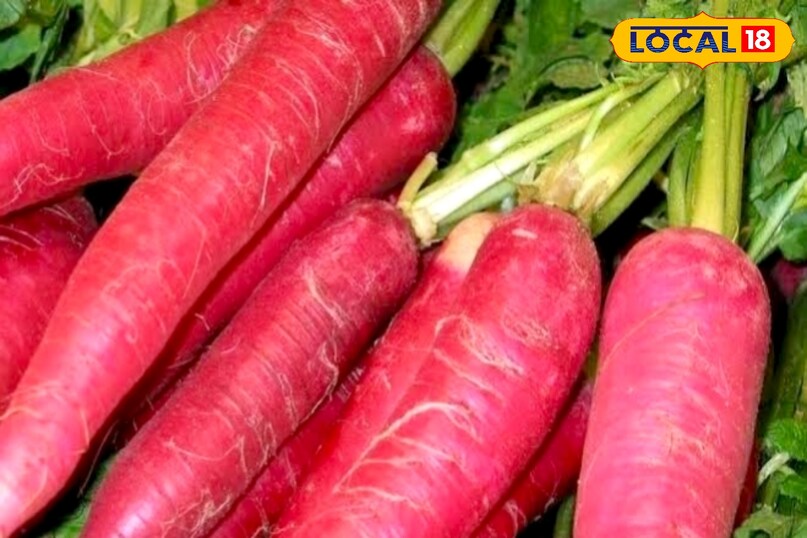 उन्होंने बताया है कि पूसा गुलाबी मूली के बीज किसी भी बीज भंडार से खरीद सकते है. इच्छुक लोग एनएससी स्टोर से 100 ग्राम बीज मात्र लगभग 100 रुपये में ऑर्डर कर सकते हैं, जिससे घर की जरूरत भर की मूली आसानी से उगाई जा सकती है. 