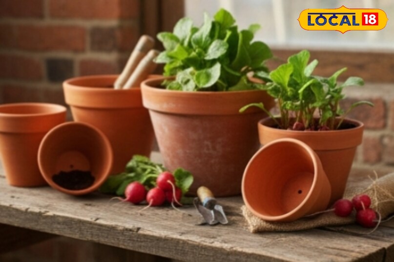 आगे कहा कि पूसा गुलाबी मूली पोषण तत्वों से भरपूर होती है. इसकी जड़ें मध्यम आकार की और बेलनाकार होती हैं. इसमें कैरोटिनॉइड्स, एंथोसाइनिन्स और एस्कॉर्बिक एसिड अच्छी मात्रा में पाए जाते हैं, जो सेहत के लिए लाभकारी माने जाते हैं.