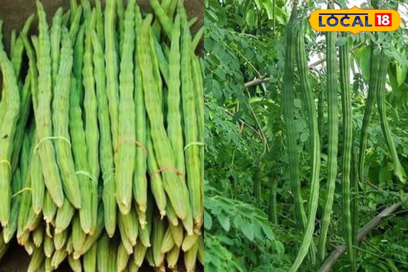 Bharat.one Bharat.one