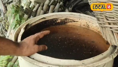 Make Your Own Organic Fertilizer: Farmer Shares Easy, Chemical-Free Method