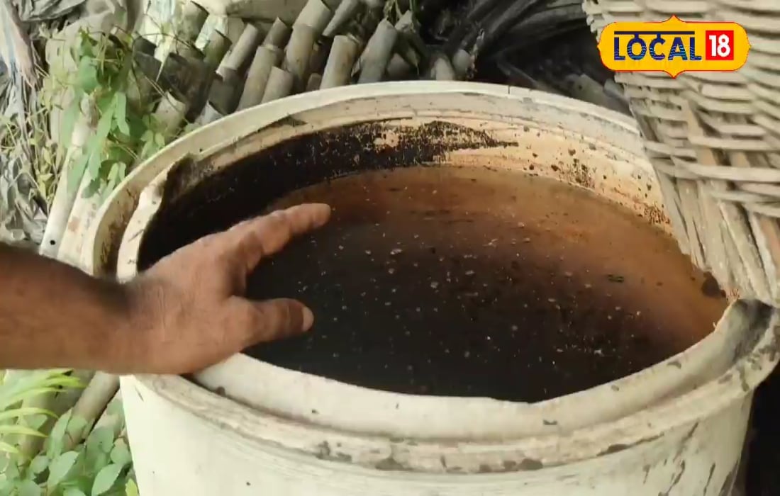 रासायनिक नहीं अब प्राकृतिक खाद से करें खेती, जानिए इसे बनाने का आसान तरीका