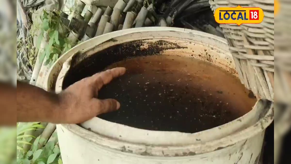 घर पर ऐसे बनाएं बेहतरीन खाद, नहीं लगानी पड़ेगी लाइन, पैसा भी बचेगा