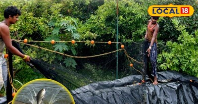 सर्दियों में मछली को ज्यादा पसंद किया जाता है.